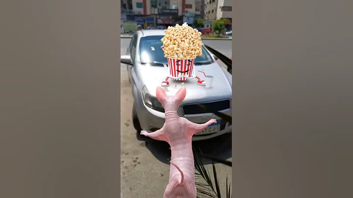Watch the video about #funny #Sphynx cat and love of popcorn#Popcorn lovers