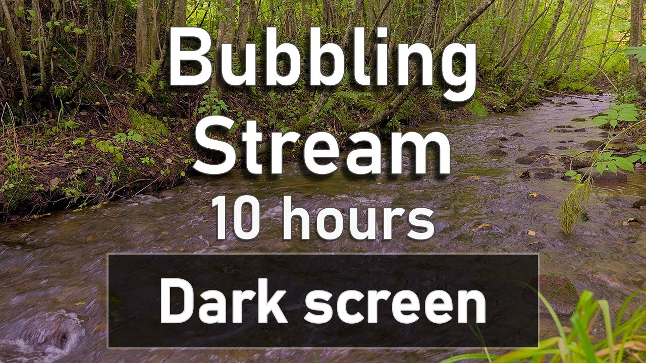 Bubbling stream in the morning hours Audio only ASMR 10 hours YouTube