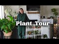 Plant Home Tour | My entire plant collection walkthrough