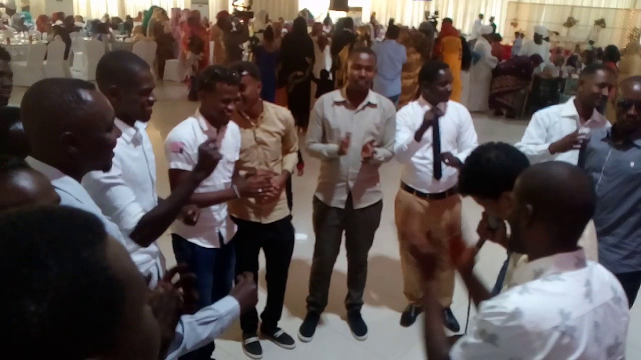 علاء الدين دولي / لو تعاين ليها / صالة ماجستك