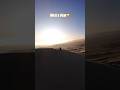 Track ID: Iman Hanzo - Er Lebt In Dir #sandboard #desert #newmusic credits: munay_sandboard