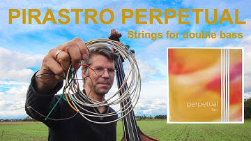 PIRASTRO PERPETUAL Double Bass Strings Review (Plus: How do they compare to Spirocore? Hear both!)