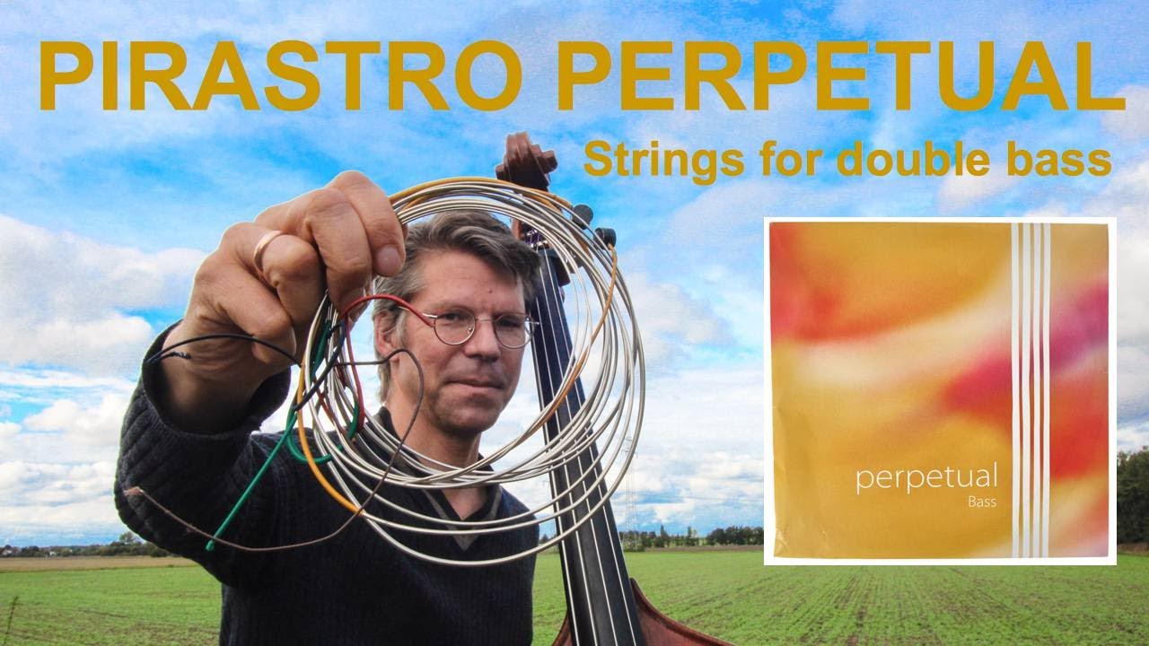 PIRASTRO PERPETUAL Double Bass Strings Review (Plus: How do they compare to  Spirocore? Hear both!) - YouTube