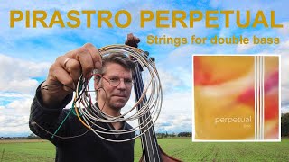 Pirastro Perpetual Double Bass Strings Review Plus How Do They Compare To Spirocore? Hear Both