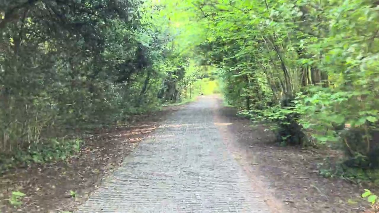Relaxing nature walks