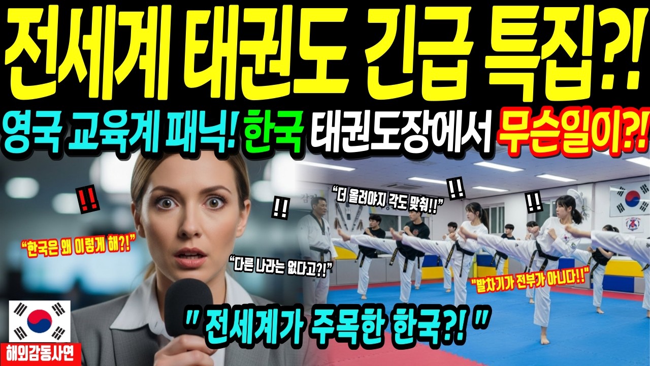 [해외감동사연] 영국 수십억 vs 한국 월10만원? 한국 태권도가 증명한 압도적 진실!!