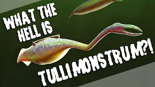 What the Hell is Tullimonstrum?!