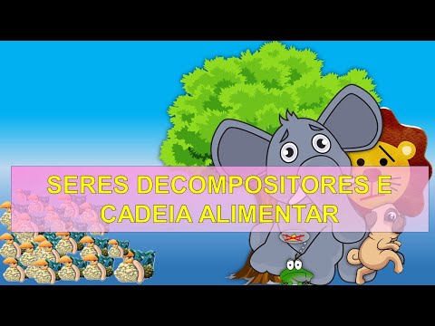 Vídeo: Os decompositores podem fazer sua própria comida?