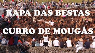 RAPA DAS BESTAS - CURRO DE MOUGÁS