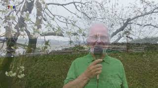 900 Jahre Engerwitzdorf - Rundwanderungen Mit Den Naturfreunden