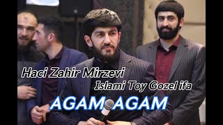 Haci Zahir Mirzevi - Agam Agam Resimi