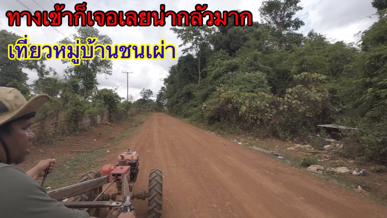 ชนเผ่าที่ผู้หญิงออกไปหากิน ผู้ชายรออยู่บ้าน