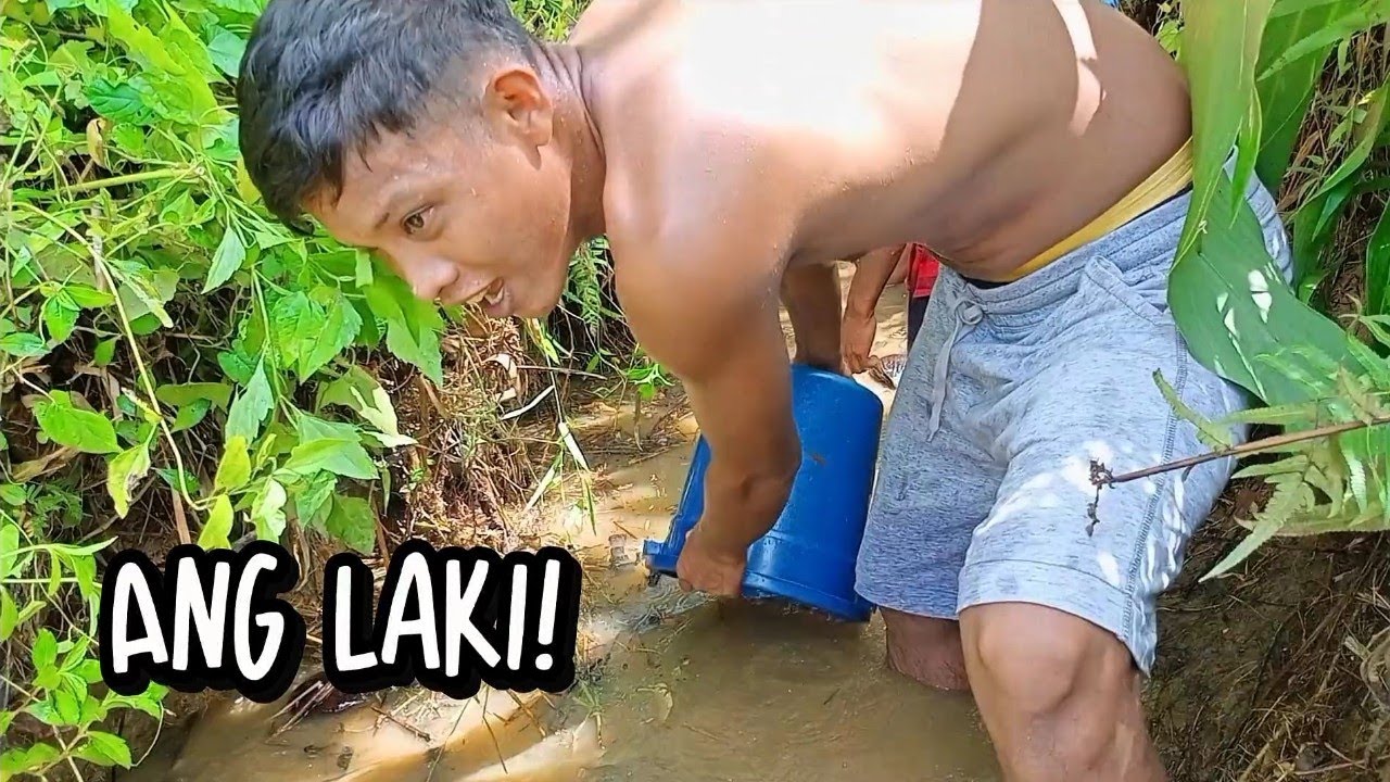 Pang-limbas ng Hipon at Isda sa Kanal