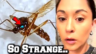 People Are Seeing Something Very Unusual All Across U.S.