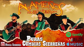 Los Alameños De La Sierra MEGA MIX Lo Más Chingon 🤠 Puro Zapateado y Huapangos Para Bailar