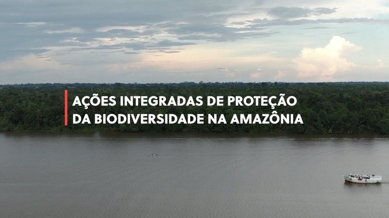 Ações integradas de proteção da biodiversidade na Amazônia