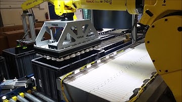 Fanuc Robot - Case Unpacking