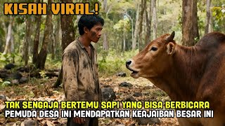VIRAL! ANAK SAPI BULE INI DATANG KEGUBUK REOT GADIS DESA INI MEMINTA TOLONG LIHAT KEAJAIBAN DATANG