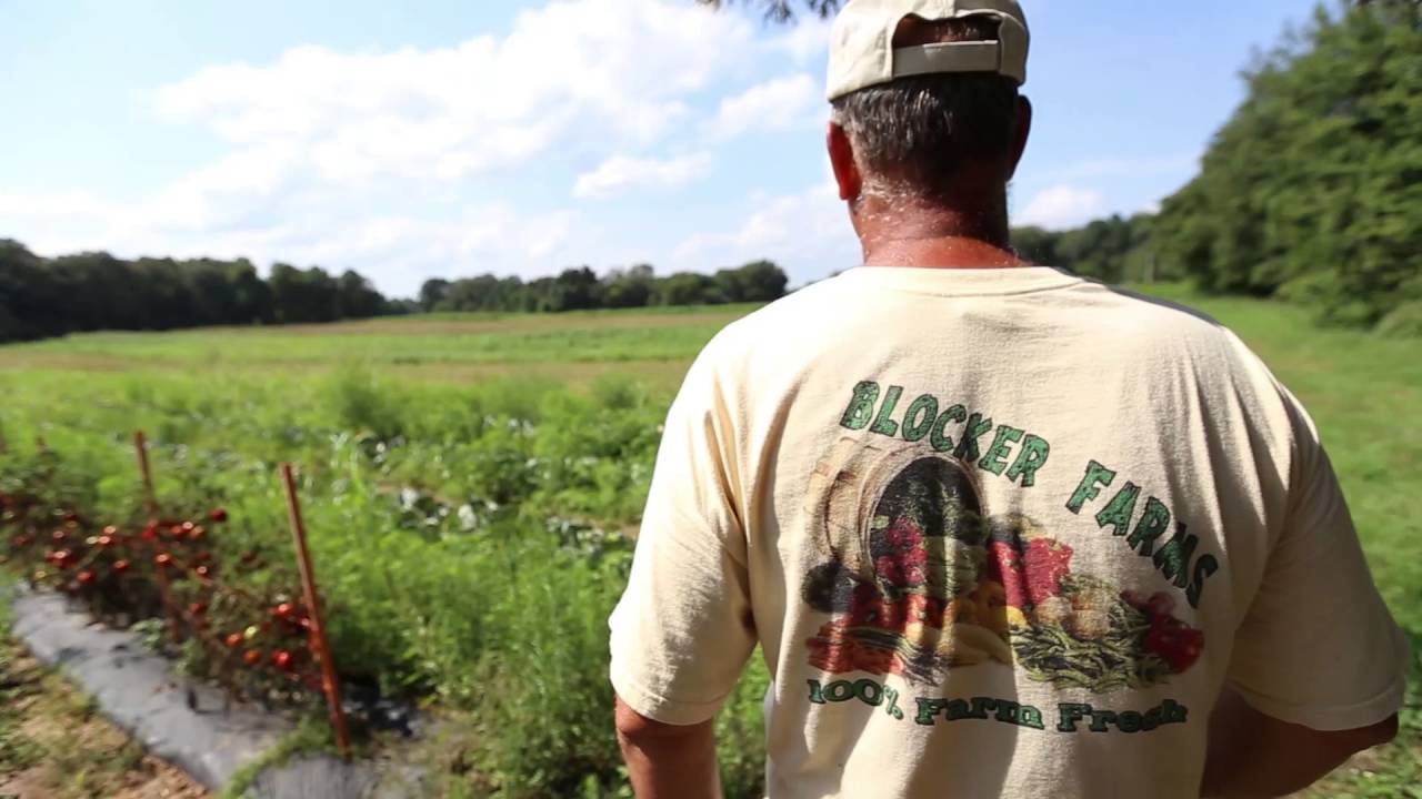 Blocker Farms Cedar Hill TN YouTube
