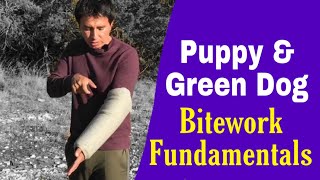 Basic Bitework Intro (Puppies & Young Dogs)