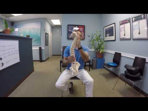 Daily Spinal Exercises Mobility Set 1 Ocean Chiropractic Center