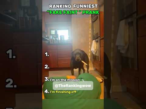 Dog’s Reaction To “Fake Faint “ prank