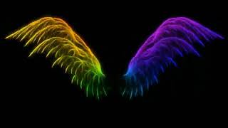 Mentahan video sayap keren kekinian