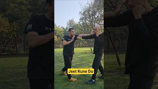 Jeet Kune Do Biu Jee #viralvideo #jeetkunedo #wingchun