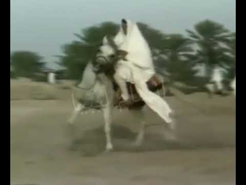 الفنان الراحل اشرف محفوظ عدادين اللومه هلها