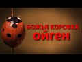 Ойген - Божья коровка