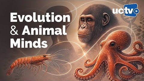 Evolution and Animal Minds