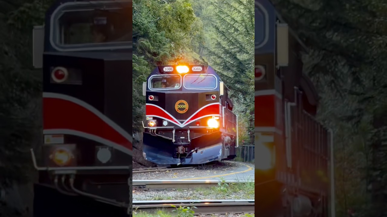 Skagway White Pass and Yukon Train