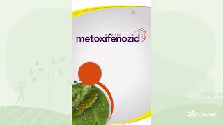 Controla Lobesia con Metoxifenozid de Agrospec | Septiembre 25