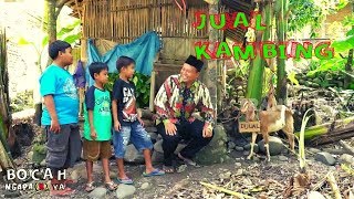 Download JUAL KAMBING | BOCAH NGAPA(K) YA (15/06/19) JUAL KAMBING | BOCAH NGAPA(K) YA (15/06/19)