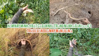 Download Lagu Mình Đi Bắt Cá Gần Nhà Cũng Khá Là May Mắn Được Nhiều Á MP3