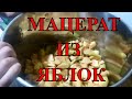 МАЦЕРАЦИЯ ИЗ ЯБЛОК.  ЯБЛОЧНАЯ ВОДКА