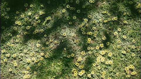 سورة التوبة بصوت الشيخ صلاح الجمل تلاوة مرتلة