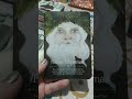 Você acredita em Papai Noel? Você acredita em meritocracia?