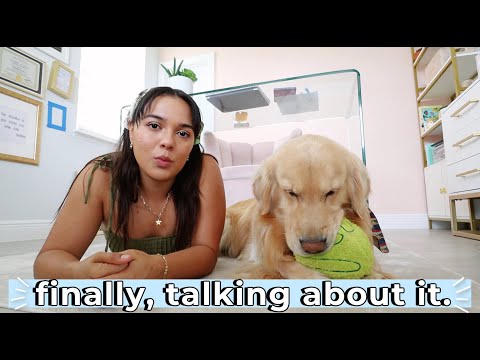 it's been 6 months...I left you in the dark *LIFE UPDATES*