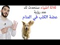 ثلاثة اشياء ستحدث لك عند رؤية عضة الكلب في المنام L تفسير حلم رؤية عضة الكلب والكلاب في المنام 