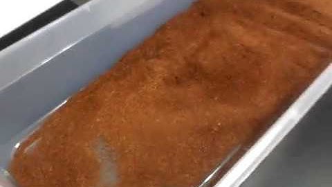 Ball Python Cage Sizes - Benjamin