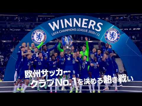 Wowow サッカーショップkamo Uefaチャンピオンズリーグ スペシャルキャンペーン Youtube Wowow サッカーショップkamo Uefaチャンピオンズリーグ スペシャルキャンペーン Youtube