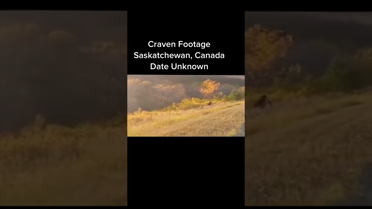 Saskatchewan Canada Bigfoot sighting video Craven #shorts