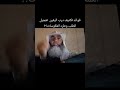 فوائد تكثيف درب اليقين تعجيل الطلب وطرد العكوسات اكسبلور tareqkhawaldeh mp3