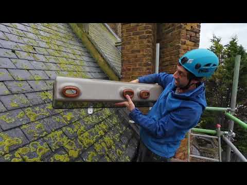 install a 4 chamber Impeckable swift nest box.