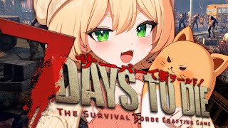 Mirumame Ch.みるまめの配信のサムネイル画像