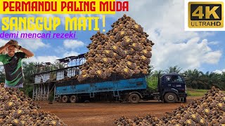 driver lori buah sawit yang paling muda bertarung nyawa mencari rezeki😱💪#lorisawit #oil palm truck