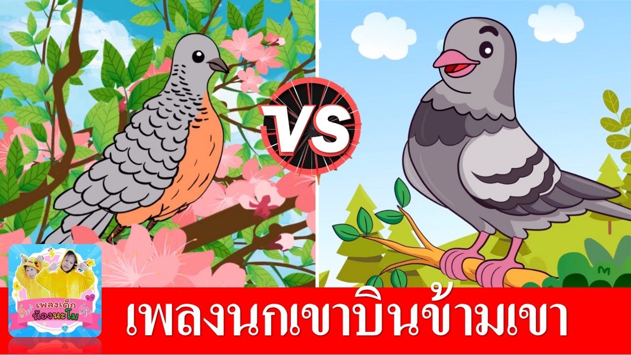 นกเขาบินข้ามเขา | เพลงนกเขา 2 เวอร์ชั่น ฟังยาวๆเพลินๆ | เพลงเด็กในตำนาน