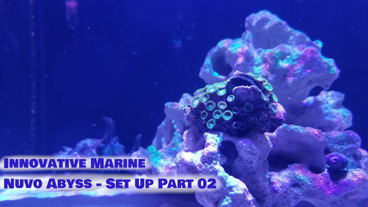 Innovative Marine Abyss Nano Setup pt 2