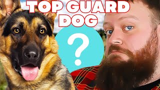 TOP GUARD DOG BREEDS 2021 by Will Atherton Canine Show 25,981 views 2 years ago 10 minutes, 29 seconds